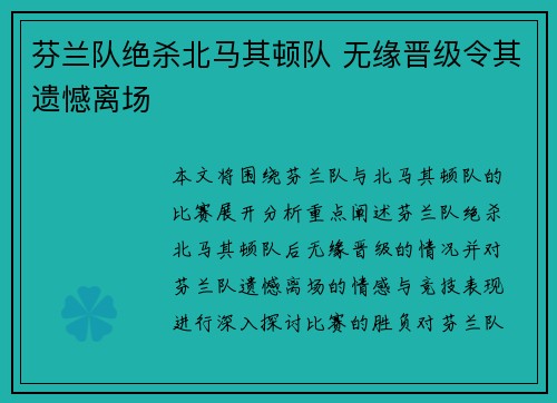 芬兰队绝杀北马其顿队 无缘晋级令其遗憾离场